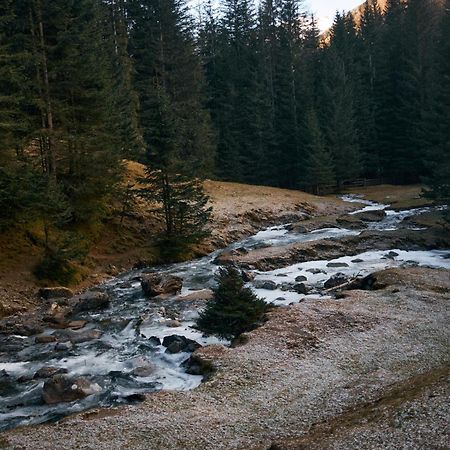 Stelza Nature Chalet Val di Vizze Kültér fotó
