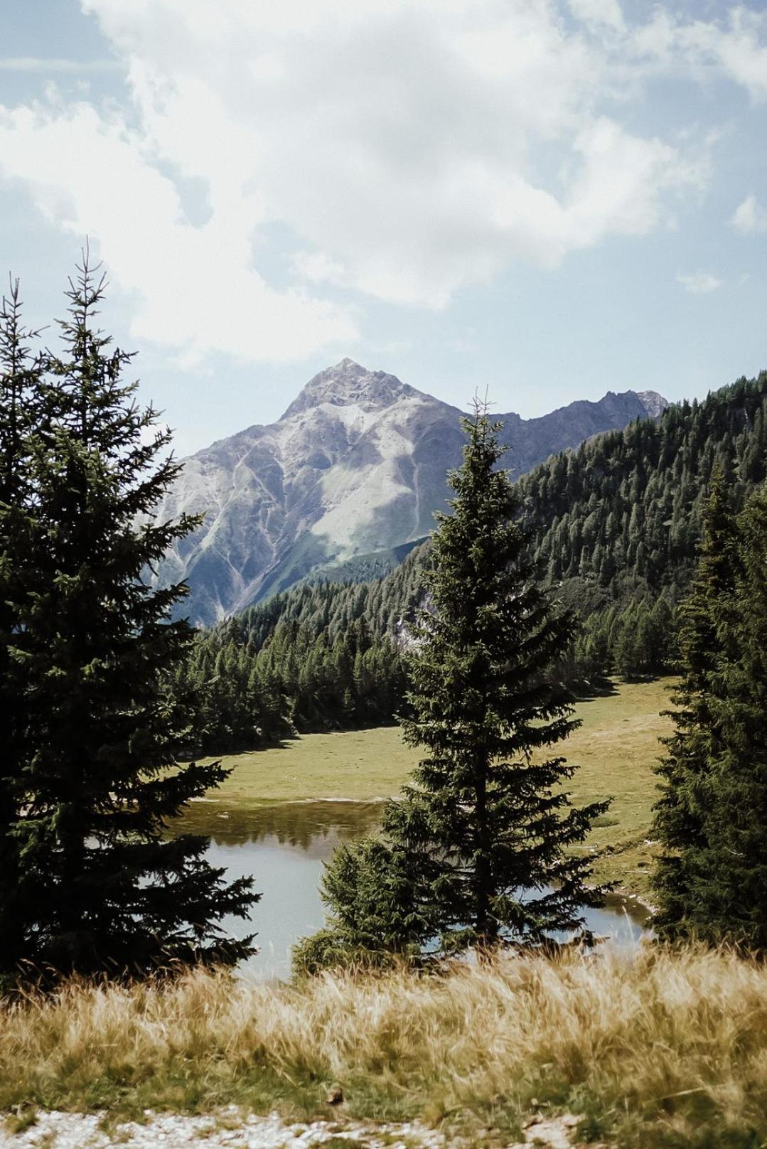 Stelza Nature Chalet Val di Vizze Kültér fotó